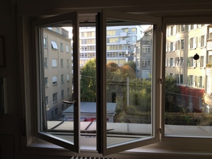 виды французского окна