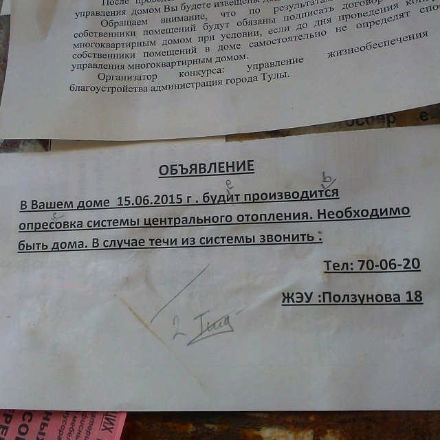 ЖЭУ "грамотно" жжет люди, объявления, подъезд, позитив, юмор