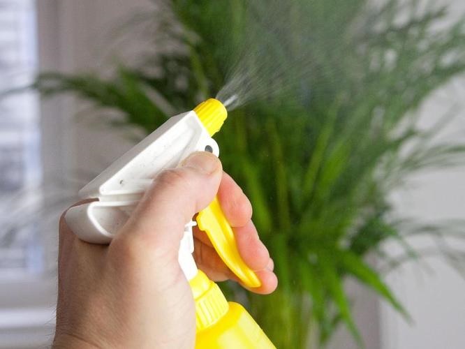 Процесс опрыскивания из пульверизатора  Процесс опрыскивания из пульверизатора