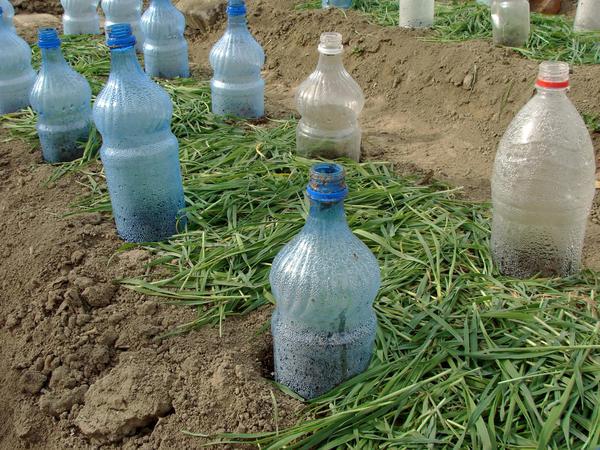 Укрытия из пластиковых бутылок