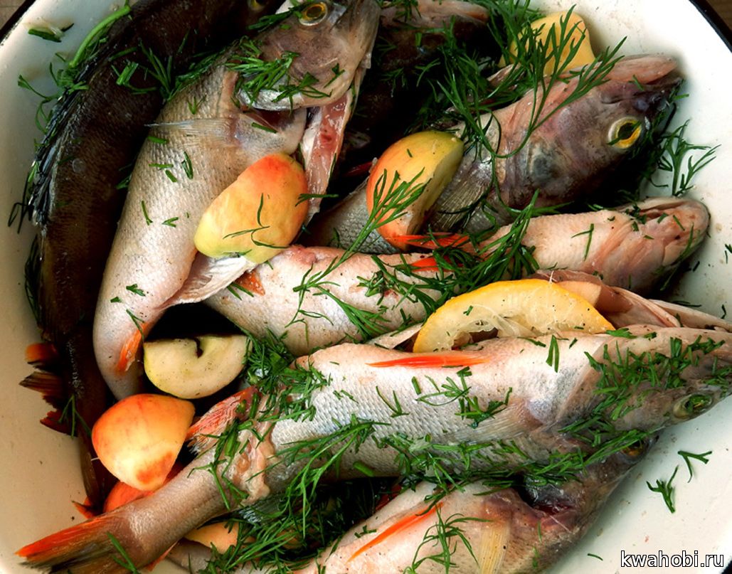 Окуней солим, перчим, поливаем соком лимона, яблоки кусочками и укроп.