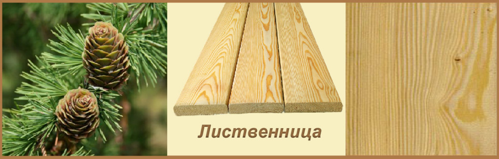 Пиломатериалы из лиственницы
