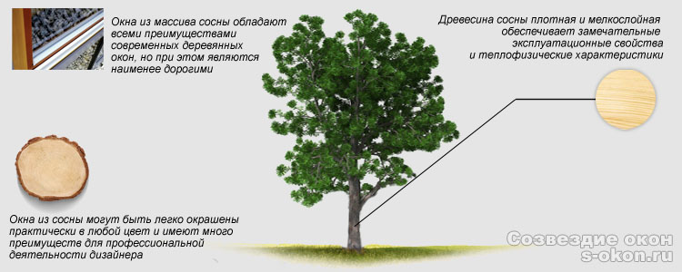 Лучшие деревянные окна