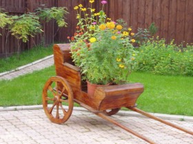 МАФ с применением растений