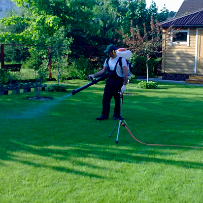 Обработка старого газона гербицидами