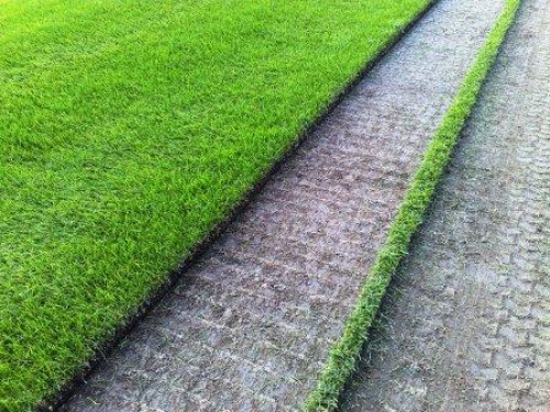 Демонтаж рулонного газона