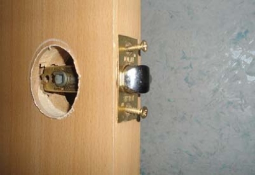 dver6-500x343