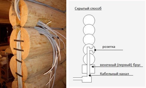 provodka_derevo-e1354918876572