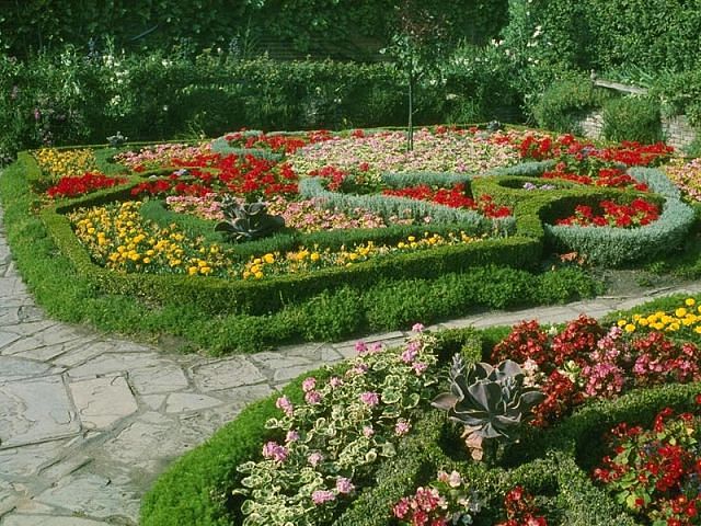 Красивые клумбы