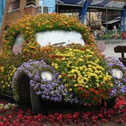 Красивые клумбы