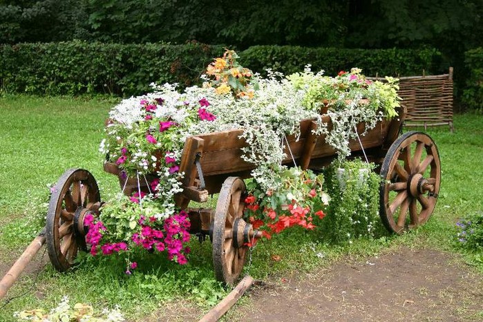 Красивые клумбы
