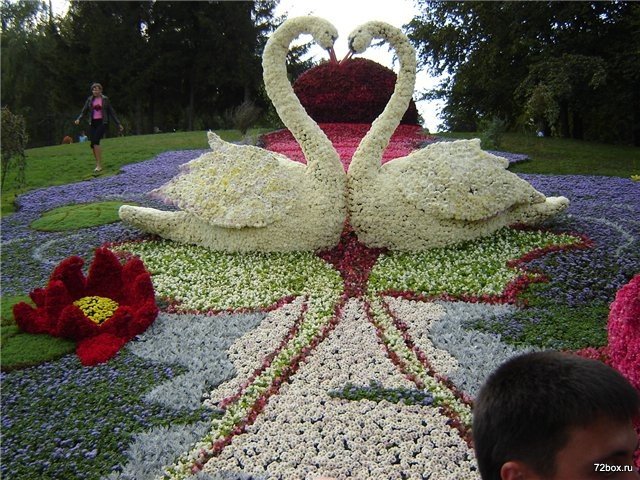 Красивые клумбы