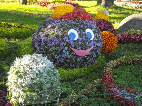 Красивые клумбы
