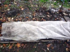 Виноград на зиму нужно тщательно укрывать