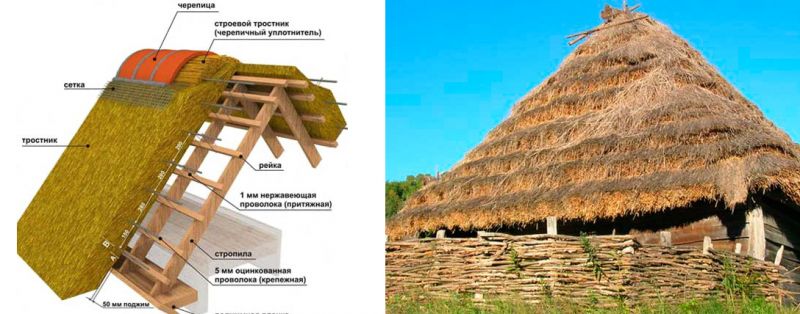 соломенная крыша