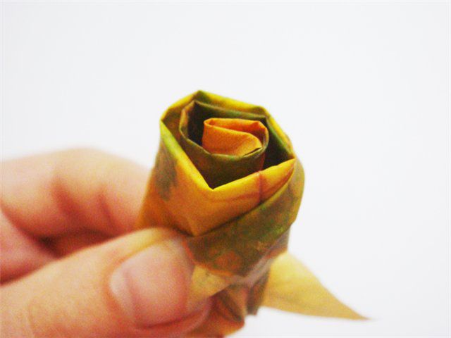 кленовые листья