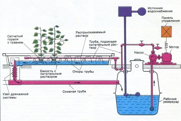 Гидропоника для клубники своими руками схема