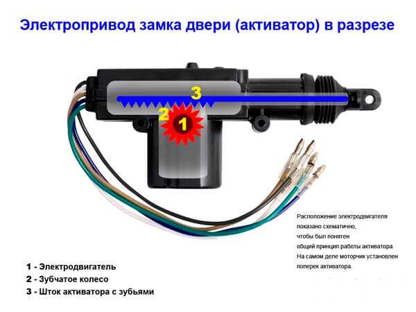 Актуатор в разрезе