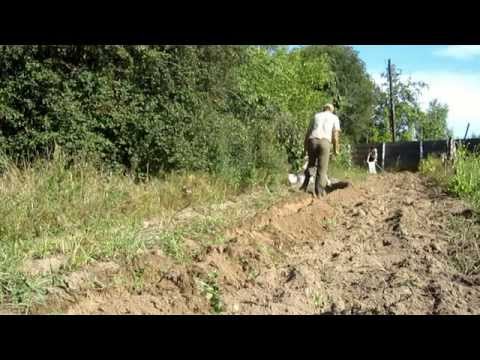 Электроплуг Лебёдка сельскохозяйственная ЛС 100А 4 часть.Осенняя вспашка огорода.Собираем картофель