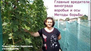 Миниатюра для видео