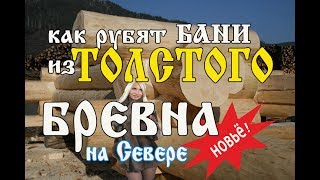 Рубим элитную баню из толстого бревна проект 
