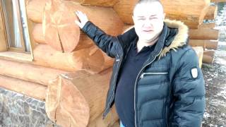Примеры домов из крупного диаметра бревен