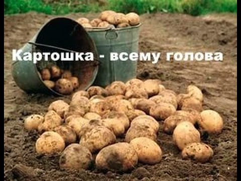 Сажаем картошку всей семьёй. Лебедка сельхоз ЛС-100