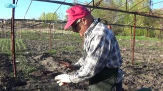 Миниатюра для видео