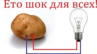 Свет из картошки супер гениально просто разрыв
