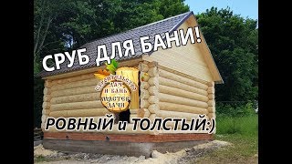 Баня 5х6 под УСАДКУ # ТОЛСТОЕ БРЕВНО для СРУБА