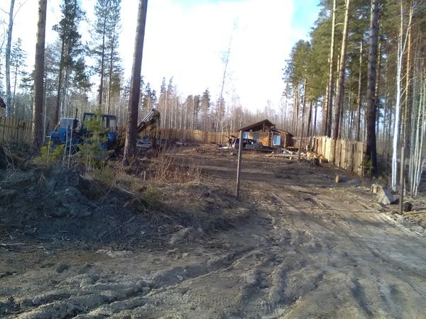 Фото с юга, виден северный забор