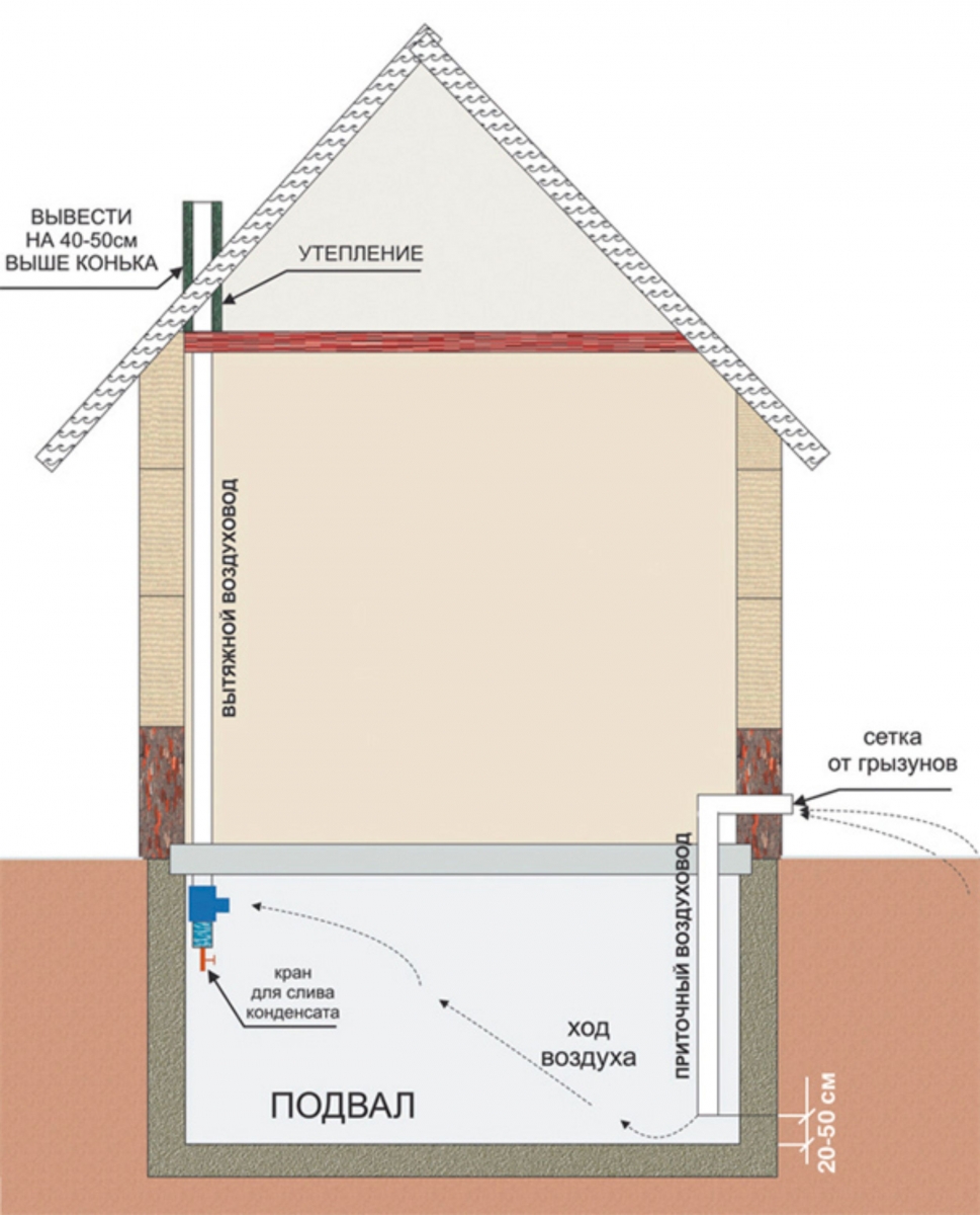Устройство подвала под домом