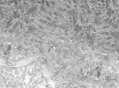 стеклообои фото в интерьере