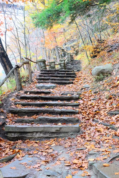 Национальный парк Летчуорта — стоковое фото