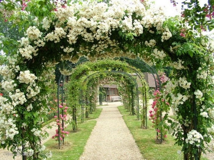 Фото с сайта: decorwind.ru