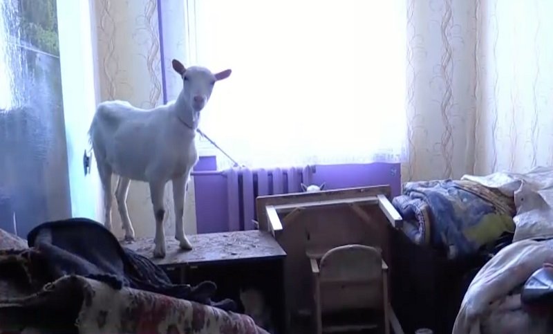 семейный быт народов ссср