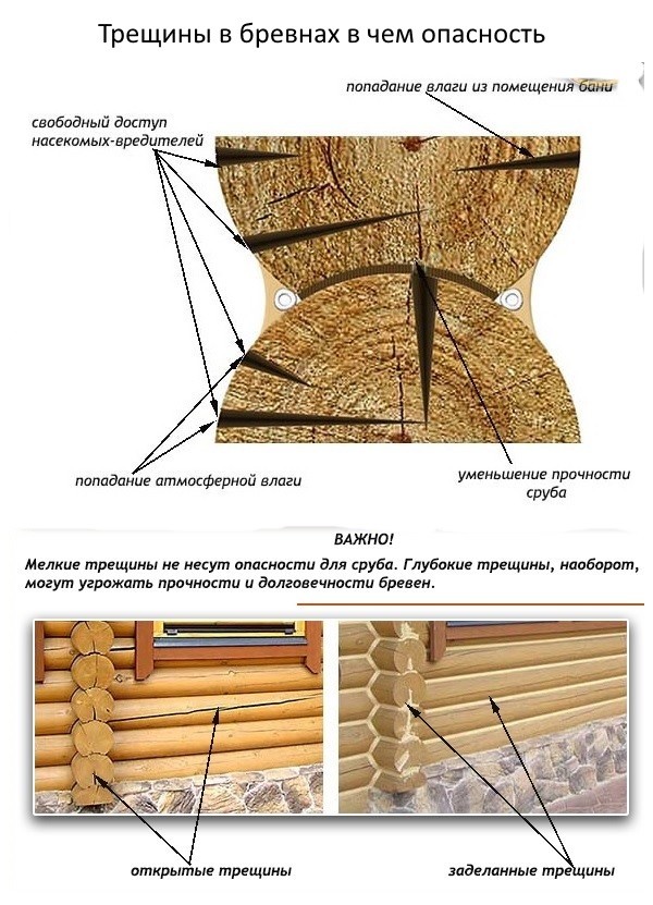 Причины появления трещин на бревнах