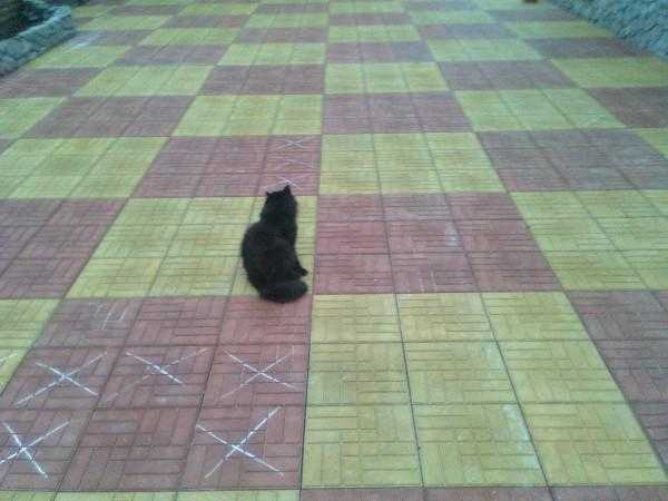 Плитка песчано полимерная отзывы