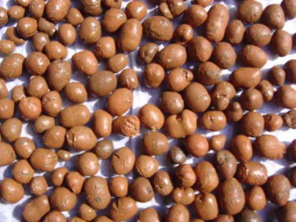 Пол из керамзита своими руками