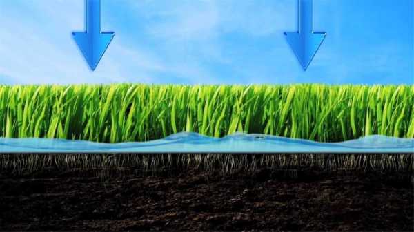 Система полива газона: создание и эксплуатация