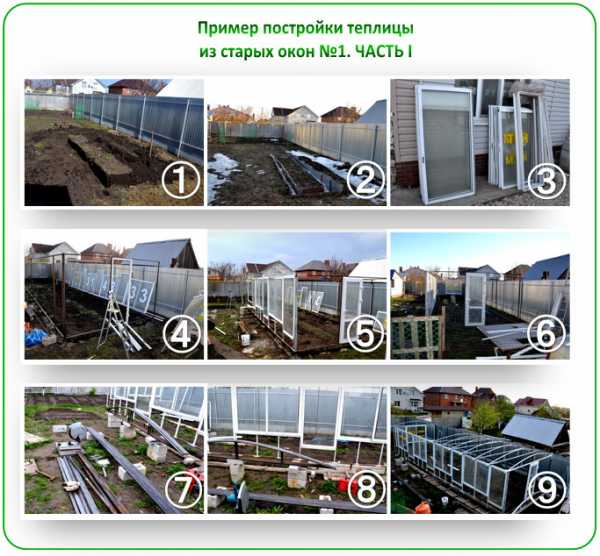 Теплица из оконных рам и крышей из поликарбоната